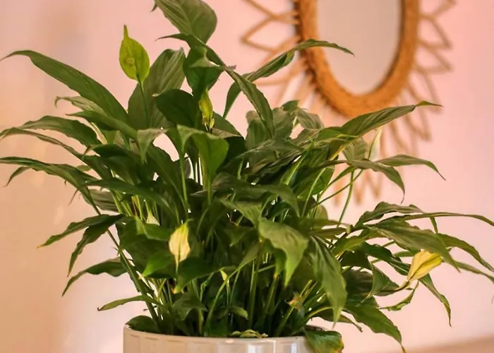 Apartment Relaxation Station: Cozy With Smart Features Near Ior Park Bucharest