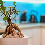 Apartment Relaxation Station - My Charming, Cosy&inviting - Smart Thermostat - Private Parking - Ior Park - Long Term Price Cuts *