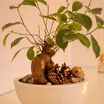 Relaxation Station - My Charming, Cosy&inviting - Smart Thermostat - Private Parking - Ior Park - Long Term Price Cuts Апартаменты *