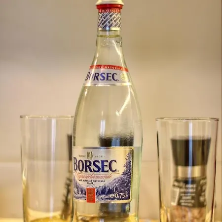 Relaxation Station - My Charming, Cosy&inviting - Smart Thermostat - Private Parking - Ior Park - Long Term Price Cuts Appartement