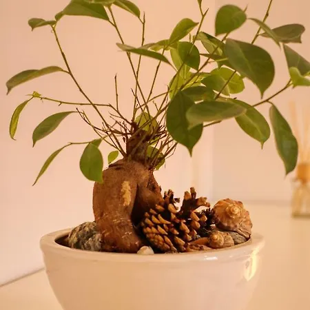 Relaxation Station - My Charming, Cosy&inviting - Smart Thermostat - Private Parking - Ior Park - Long Term Price Cuts Apartamento *