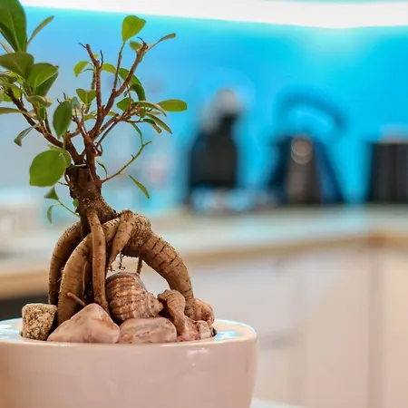 Apartment Relaxation Station: Cozy With Smart Features Near Ior Park *