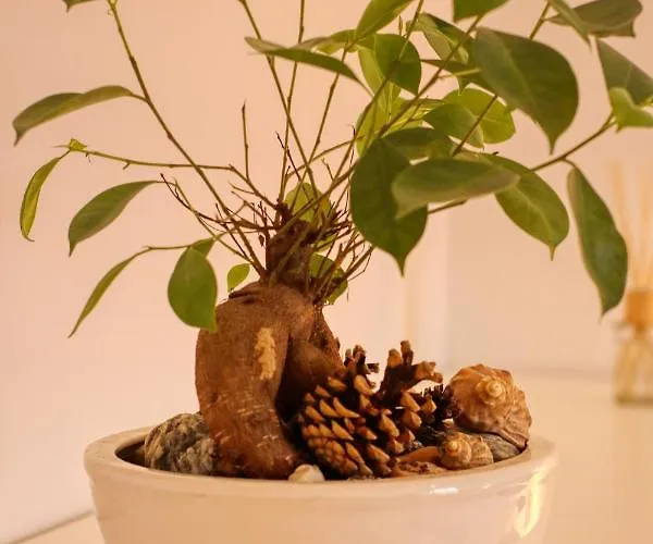 Relaxation Station - My Charming, Cosy&inviting - Smart Thermostat - Private Parking - Ior Park - Long Term Price Cuts 公寓 *