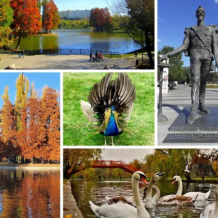 Апартаменты Relaxation Station - My Charming, Cosy&inviting - Smart Thermostat - Private Parking - Ior Park - Long Term Price Cuts Бухарест