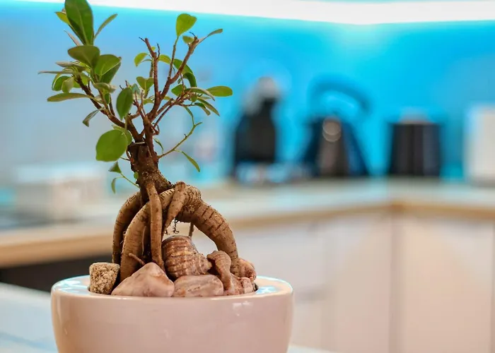 Апартаменти Relaxation Station - My Charming, Cosy&inviting - Smart Thermostat - Private Parking - Ior Park - Long Term Price Cuts *